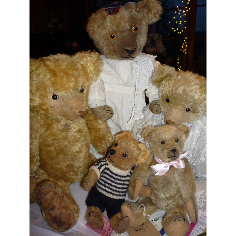 (2) Groups including Terry’s bears