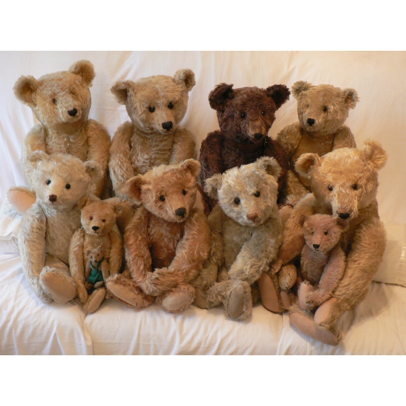 zSteiff (1900s) Group of Stunning Steiffs. Teddies of Trenode.