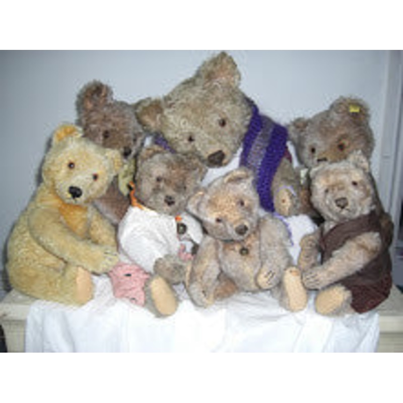 (6V) A Hug of Steiffs. Showcased by Angela Tamayo