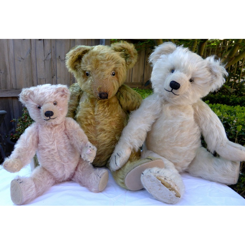 z(1918) Teddy Toys Group. Showcased by Sandra Richardson