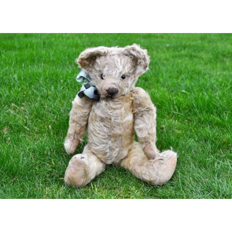 (1915) Scruff Sold 100