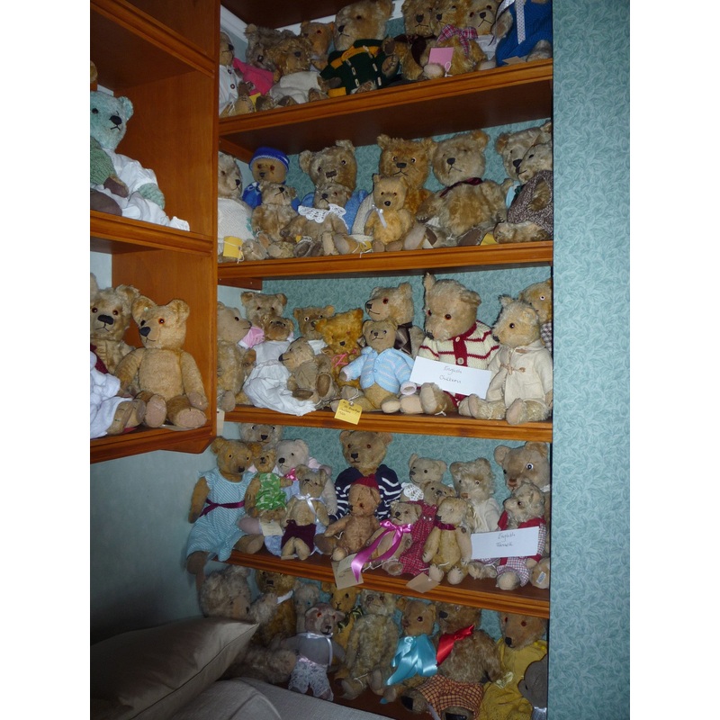 (5) A group of Farnell and Chiltern bears