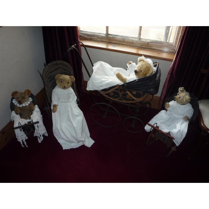 (7) Group of bears including Chads