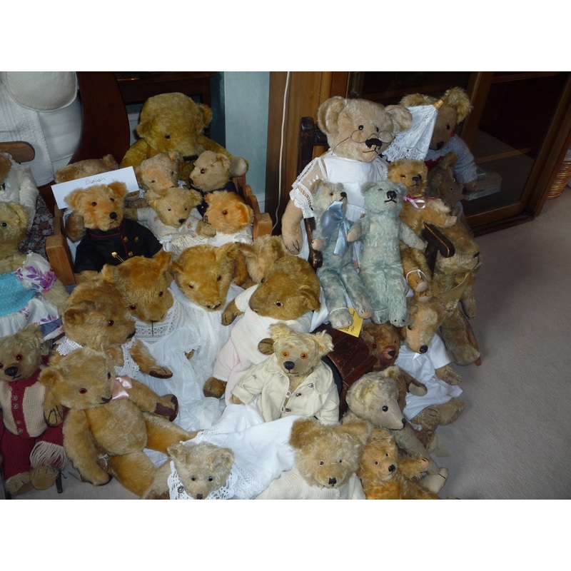 (9) A mixed group of bears