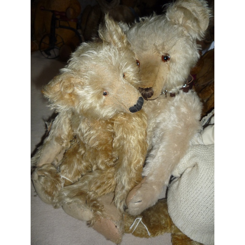 A group of Teddies