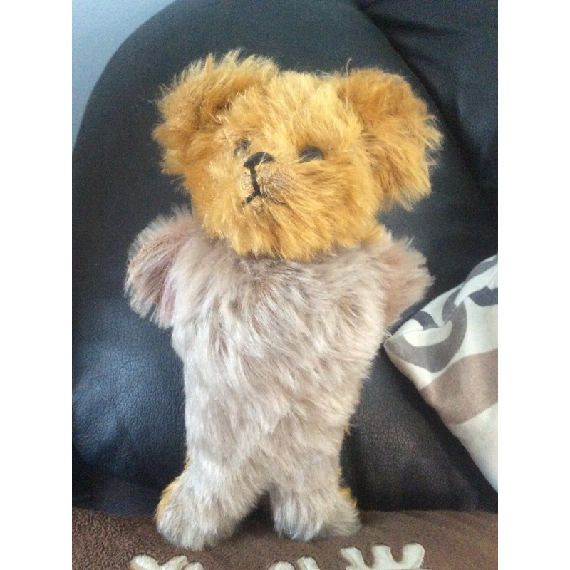 z(1910). Different bear. Showcased by Evelyn Chambers