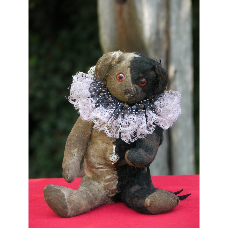 z(1910). Jasper. Harlequin bear. Showcased by Josie Rockett