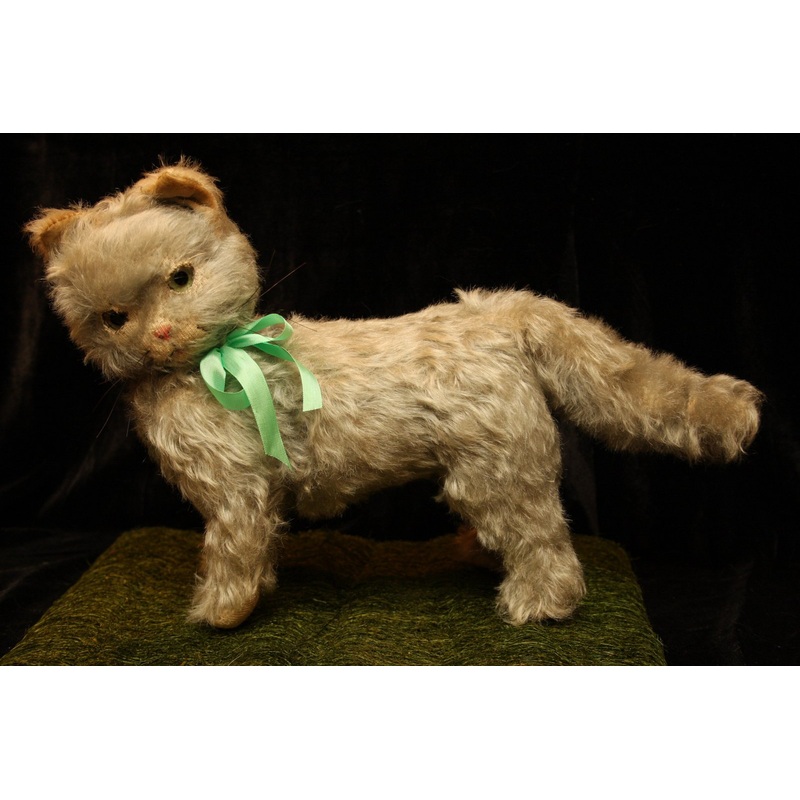 z(1930) Cat Showcased by Angela