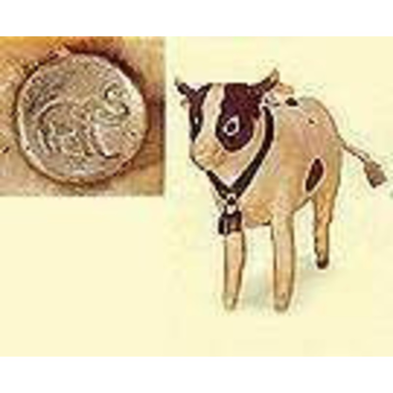 (1904-5) Steiff Button