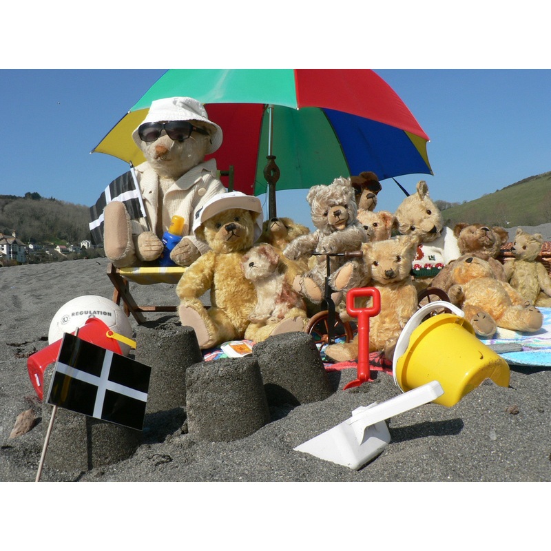 A 3rd group of bears at the seaside in Cornwall