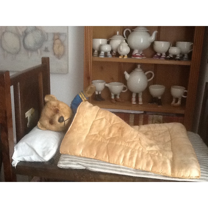 Scruffy. A day in bed! Iris Ware