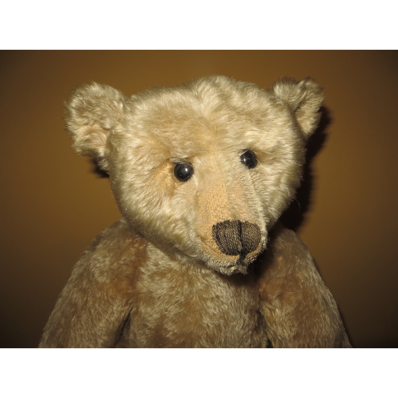 20 CC1 Antique Steiff pre 1940. Kirsty Johnstone