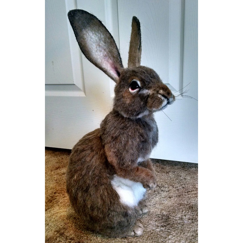 (9B) D2 Naturalistic animal. Cottontail. Stevi Tiangco