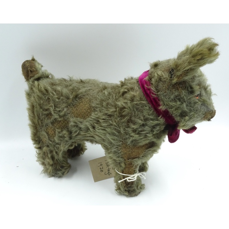 Sold(1914) ISA Sprog Dog