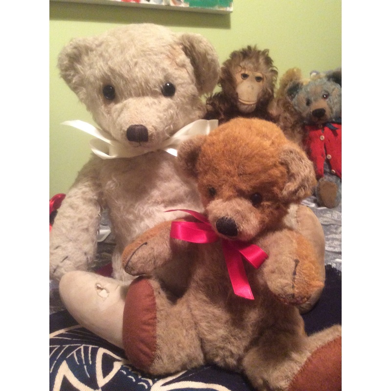 z(1930) Chad. Blue B. Chubby Bears. Showcased by Evelyn Chambers