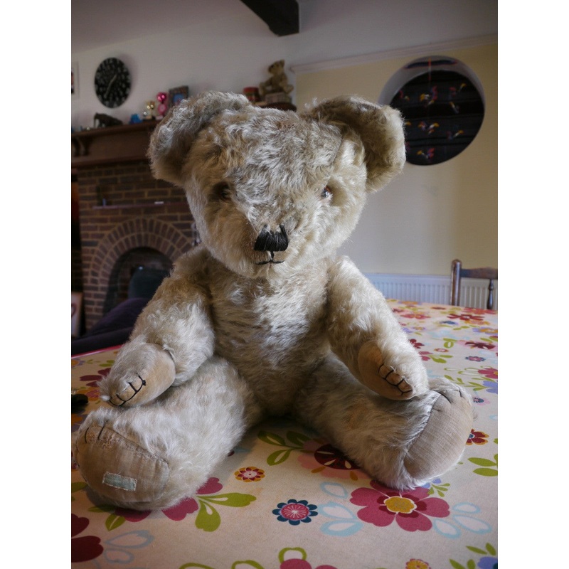 z(1938-39) Dean’s Edward bear. Big Edward. Josie Rockett.