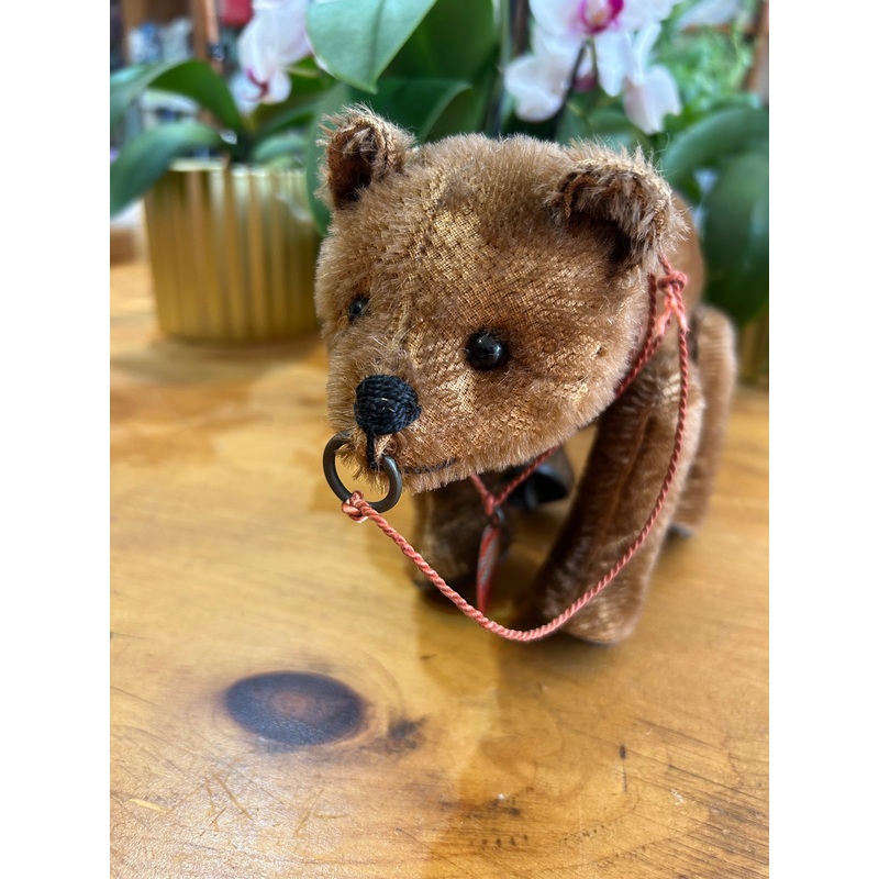 (1912) Bing. Tripple Trapple walking bear with tag