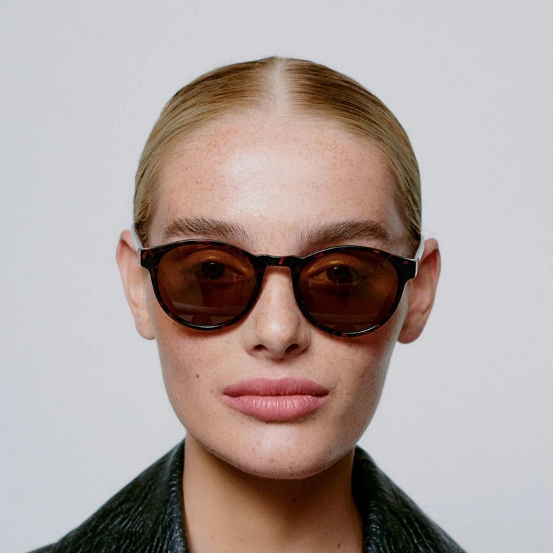 Marvin Sonnenbrille |Demi Tortoise|Schwarz|Champagne|Smoke Transparent|Coquina|Striped Horn