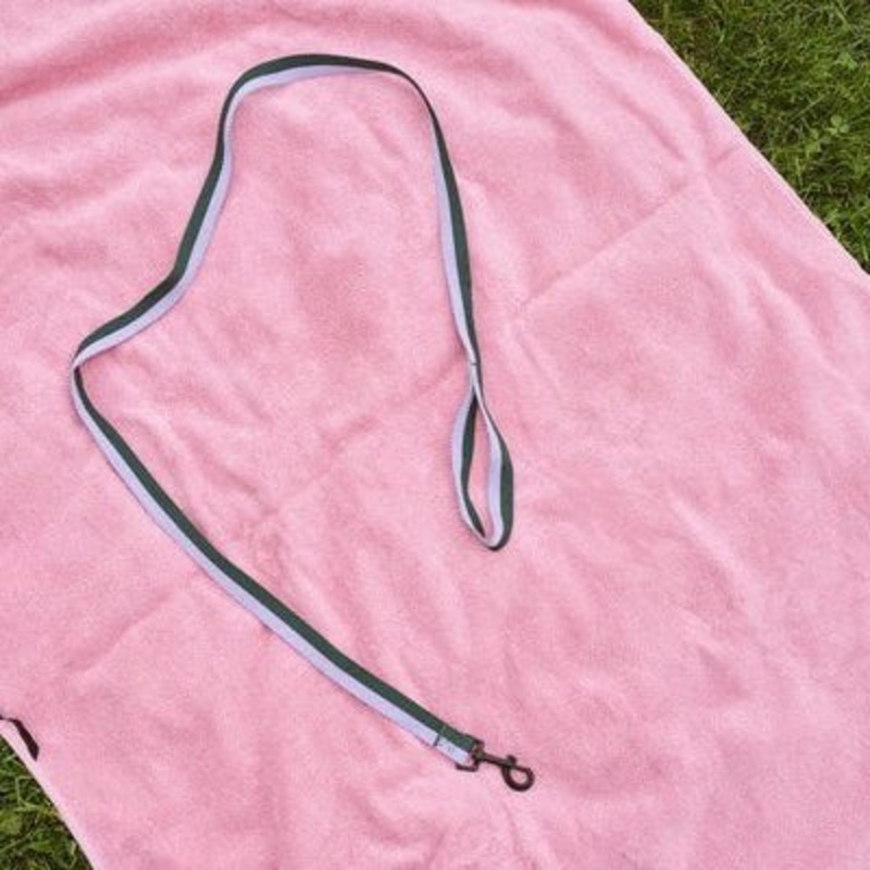 Flat Dog Leash from HAY|Pink & Black|Lavendar & Green