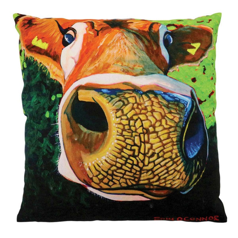 Eoin O’Connor Reach For The Stars Cushion | 137622