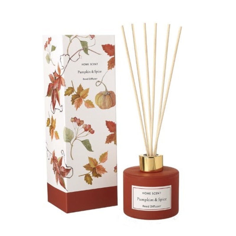 Boxed Pumpkin And Spice Diffuser | JED103