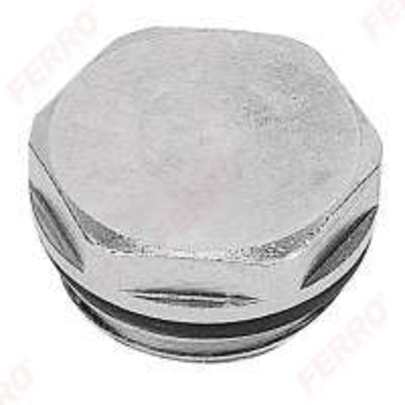 Ferro blanking plug with an O-ring 1/2