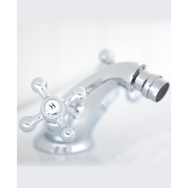 Ascot Bidet Mixer