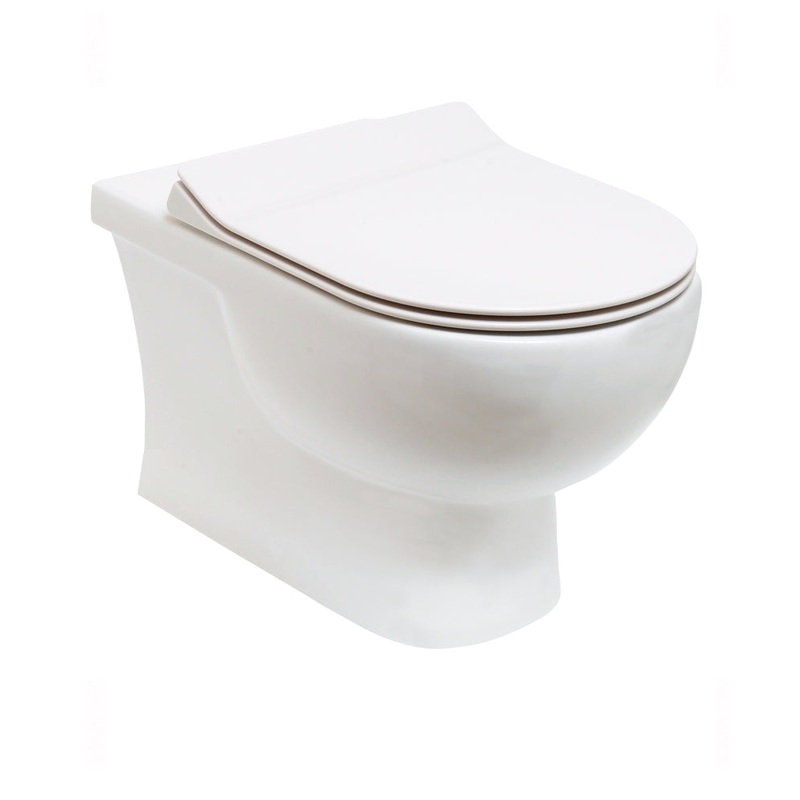 Sigma Rimless Wall Hung WC & Delta Slim