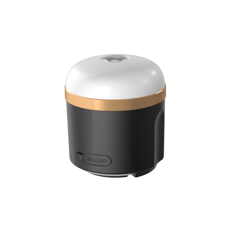 EcoFlow Camping Light (100% off)
