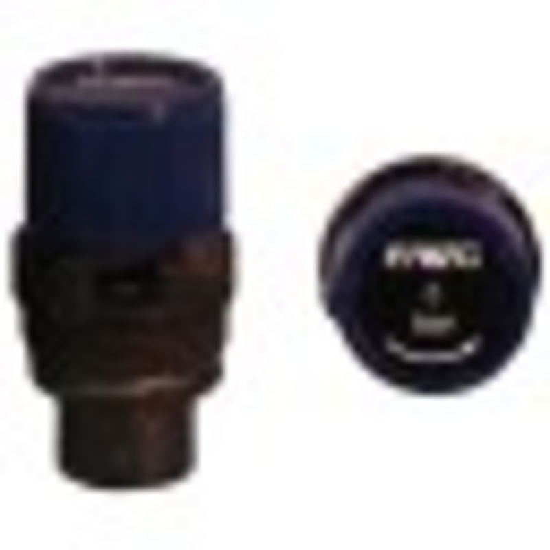 Reliance 6 Bar Pressure Relief Catridge