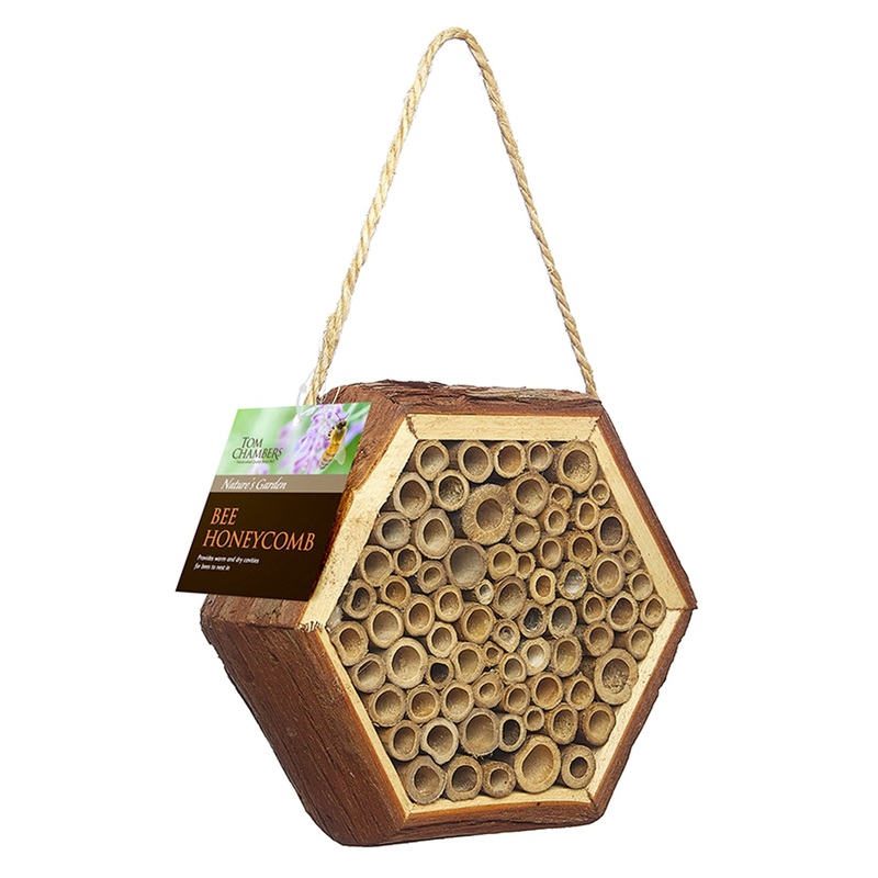 Bee Honeycomb