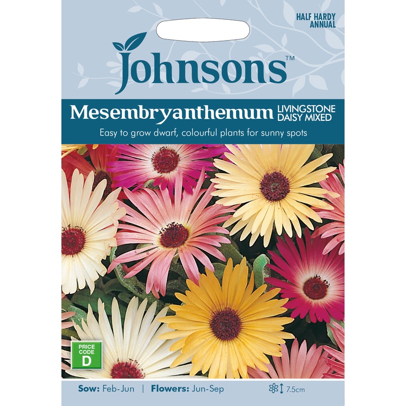 Mesembryanthemum Livingstone Daisy Mixed Seeds