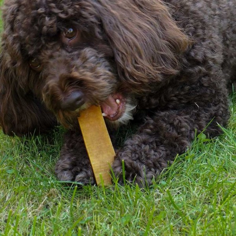 2 Medium Yak Chews w/ Cinnamon 140g