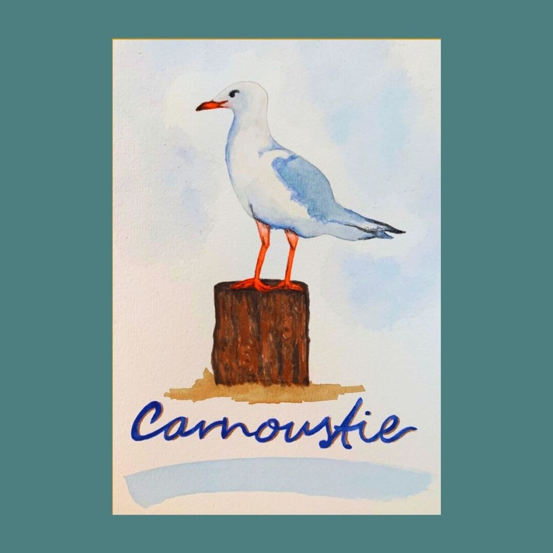 CARNOUSTIE CARDS|Seagull|Beach|Shells