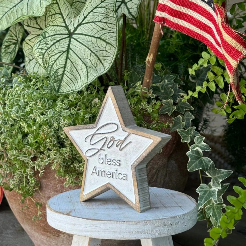 Bless America Carved Star | Collins Painting & Design | PS-8428