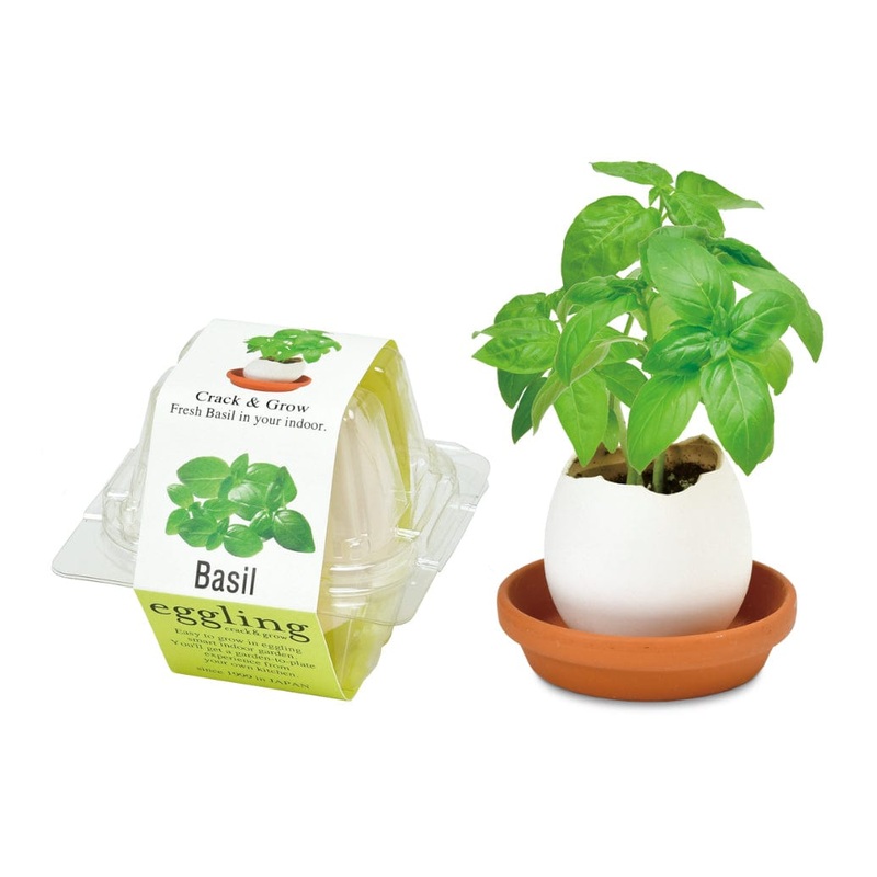 PPC – Sei – Crack & Grow  Eggling- Herbs